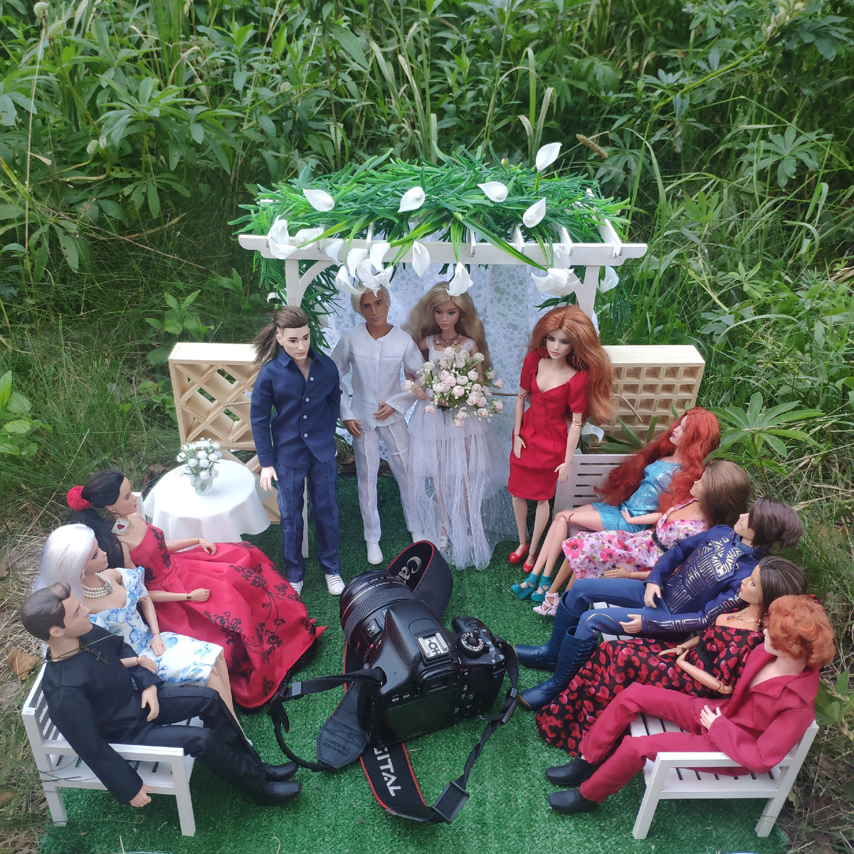 Тапкофото автора 