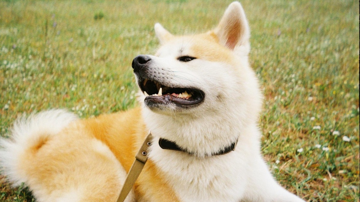    Быстрое дыхание после игр — это способ «остыть» и восстановиться.