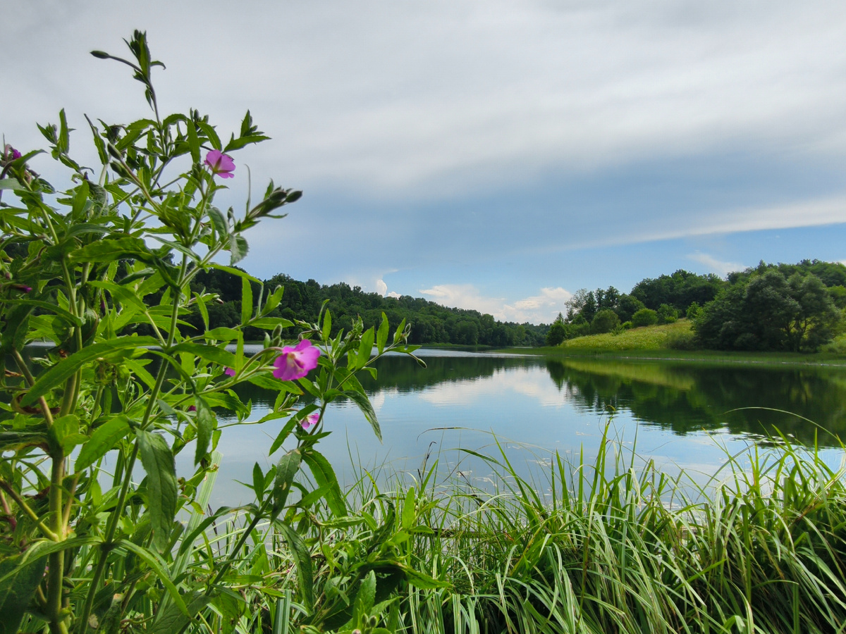Александровское озеро 