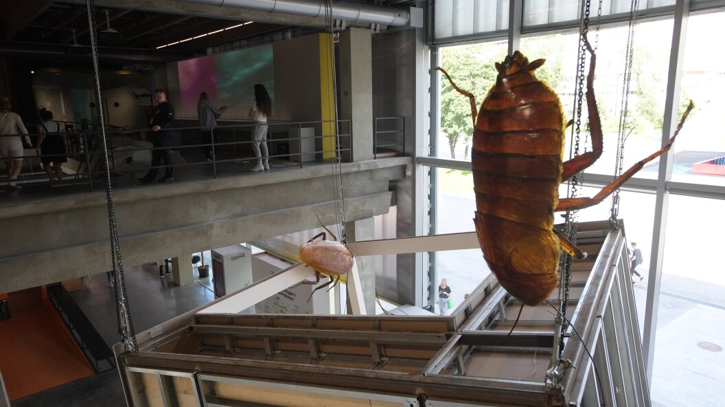    Фото: Komsomolskaya Pravda/Globallookpress