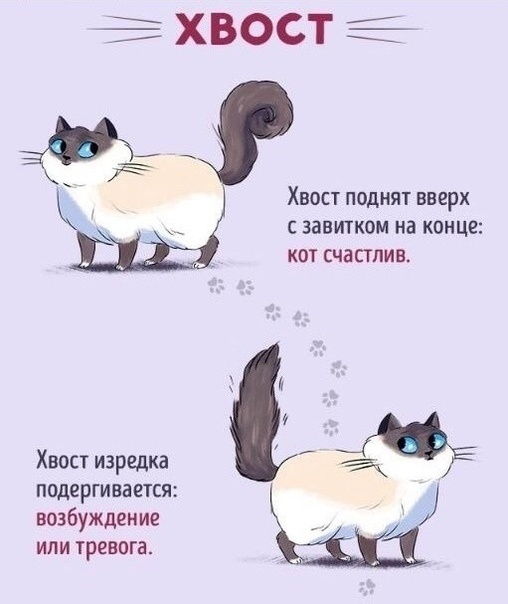 Картинка взята из Pinterest