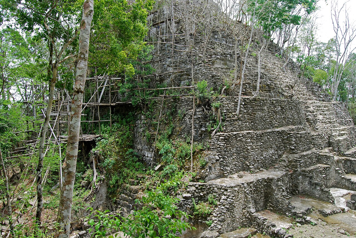 Вид на древнюю пирамиду Ла-Данта, расположенную в северной провинции Гватемалы Эль-Петен. Фото: wikipedia.org / Geoff Gallice / CC BY 2.0