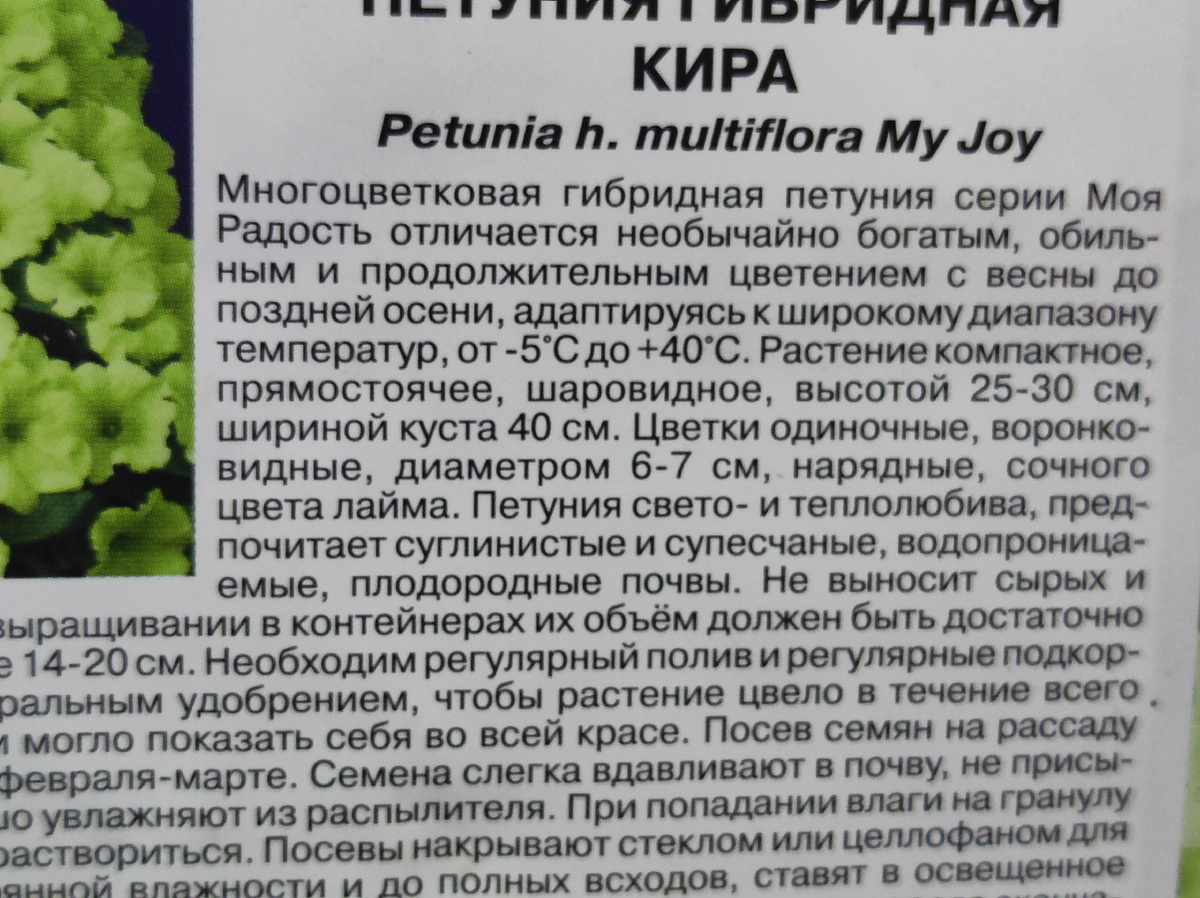 Фото автора, пакет семян гибрида петунии кира от агрофирмы Седек, июль 2025 года