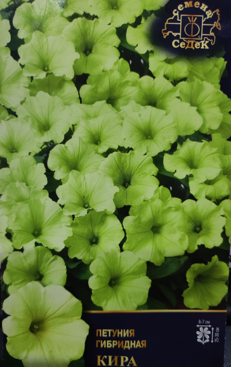 Фото автора, пакет семян гибрида петунии кира от агрофирмы Седек, июль 2025 года