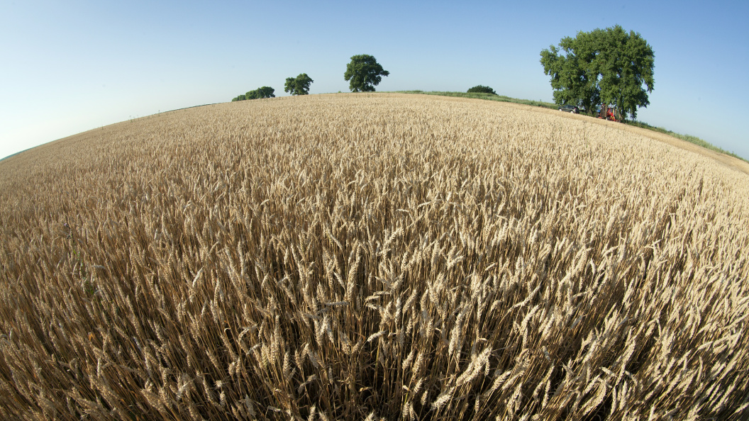    Фото: Nikolay Gyngazov, Николай/Globallookpress