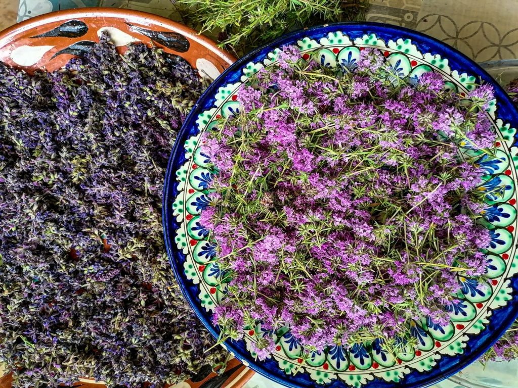   Фото: Е. Антонова. Галина Ященко