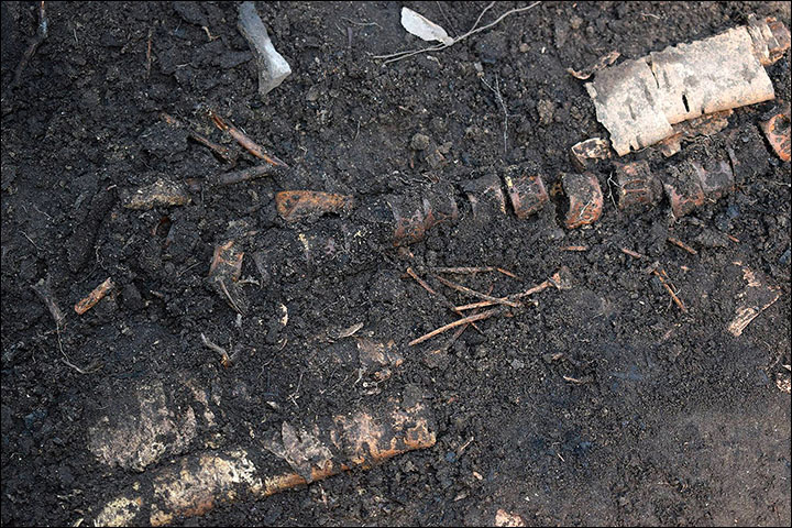 "8000-летняя трапеза." 