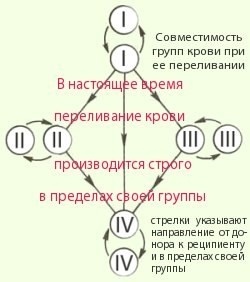Совместимость групп крови при переливании