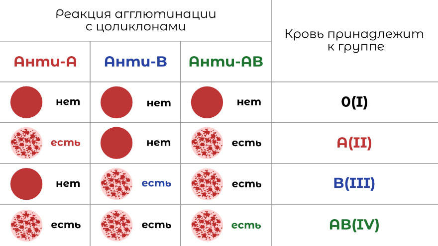 Если кровь прореагирует с Анти-D, то кровь будет резус положительная, если нет- то резус отрицательная