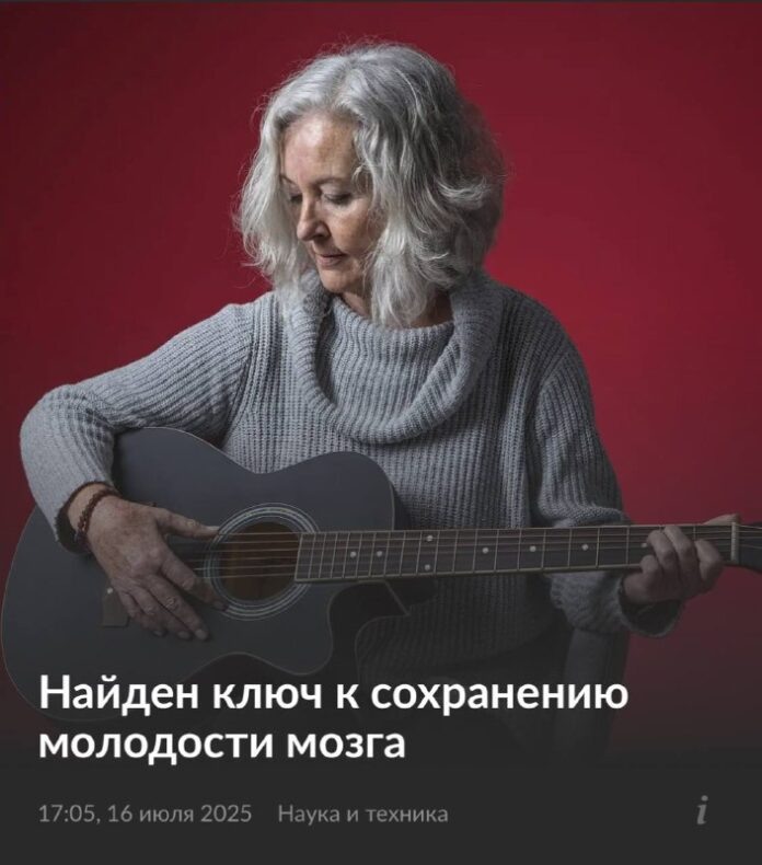    Мозг музыкантов не стареет, сообщают учёные. - Мовости Movosti