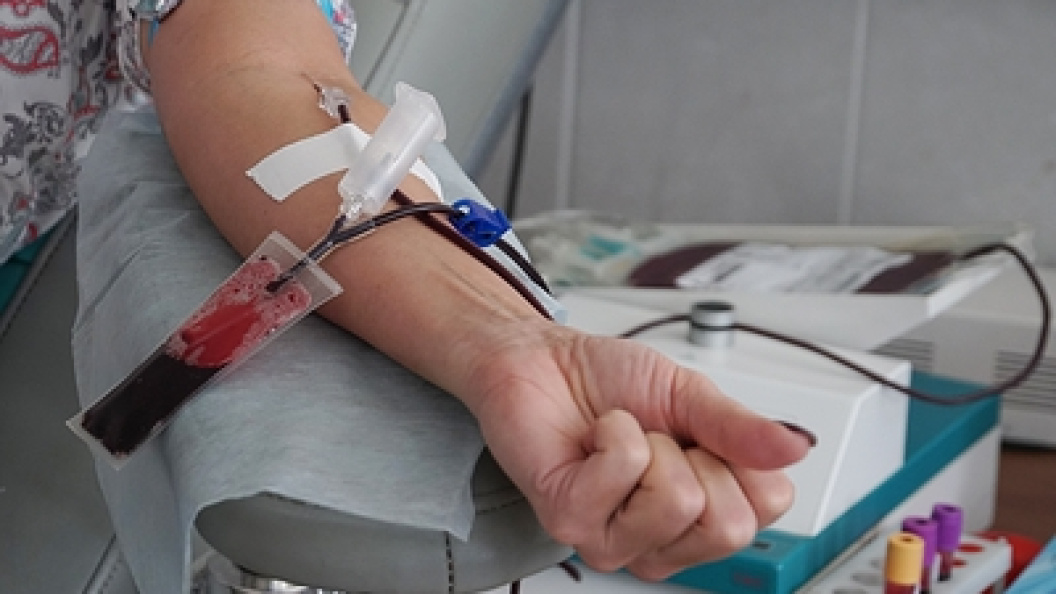    Ekaterina Tsvetkova/Globallookpress