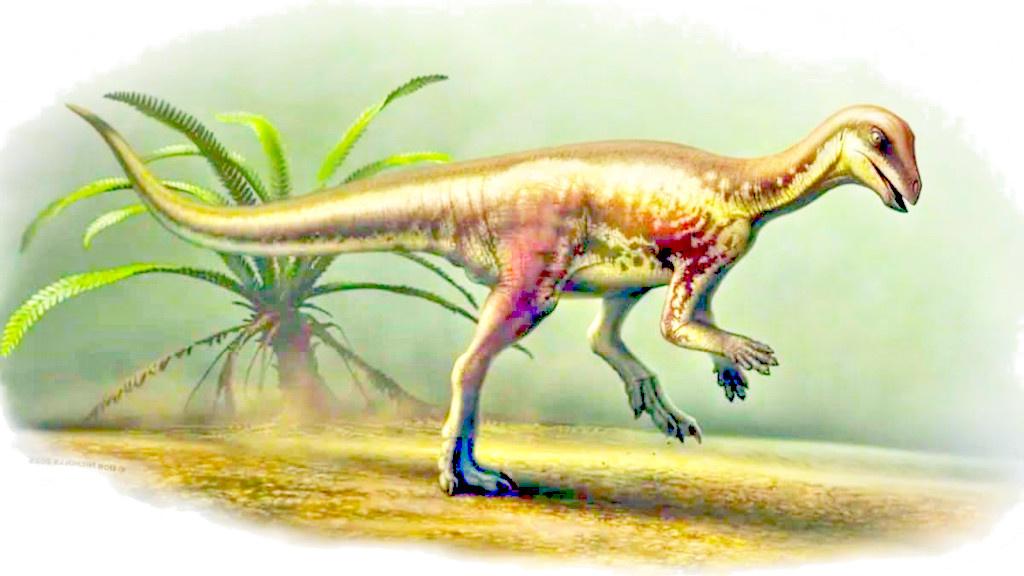 А вот растительноядные бывали и мелкими, как «таинственный бегун».