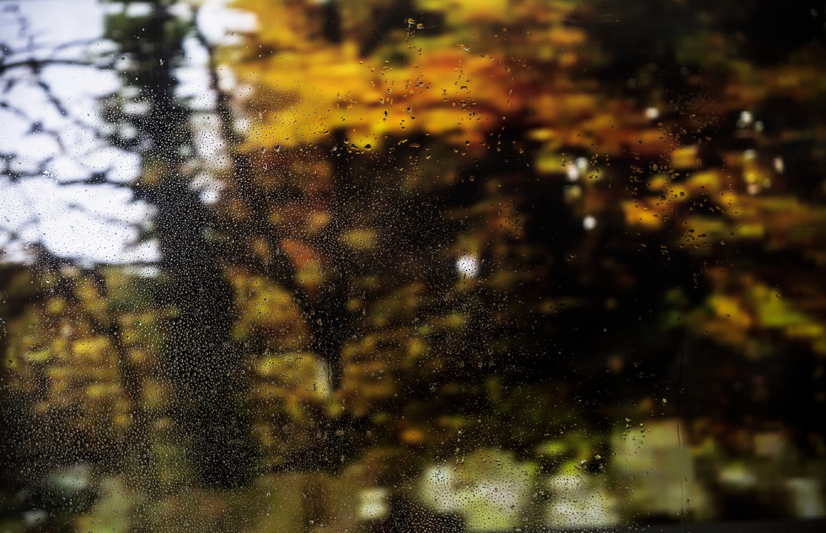 Изображение от freepik