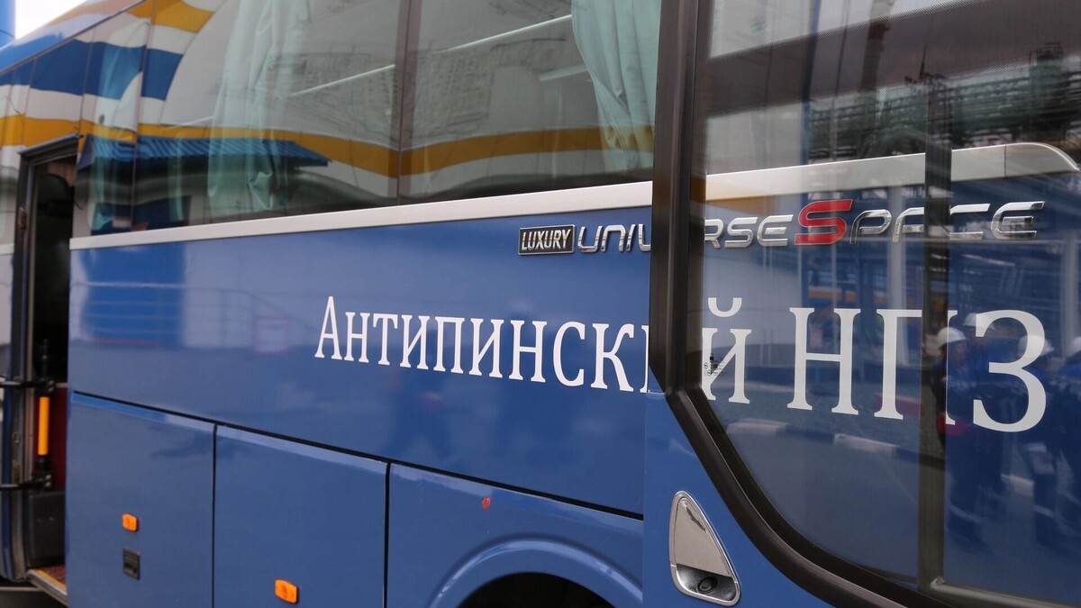     Источник: 1MI