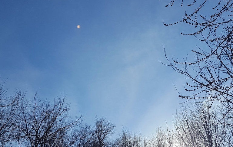 Очевидцы сфотографировали объект. (Источник: ru.sott.net).