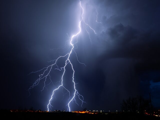    Фото: 123RF/valdezrl