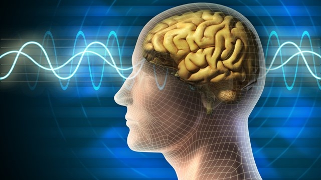 🧠 Мозг — лишь передатчик. Где хранятся наши мысли?