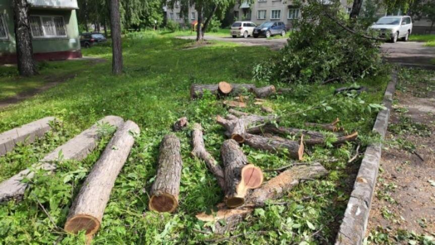    Фото - пресс-центр мэрии Новосибирска