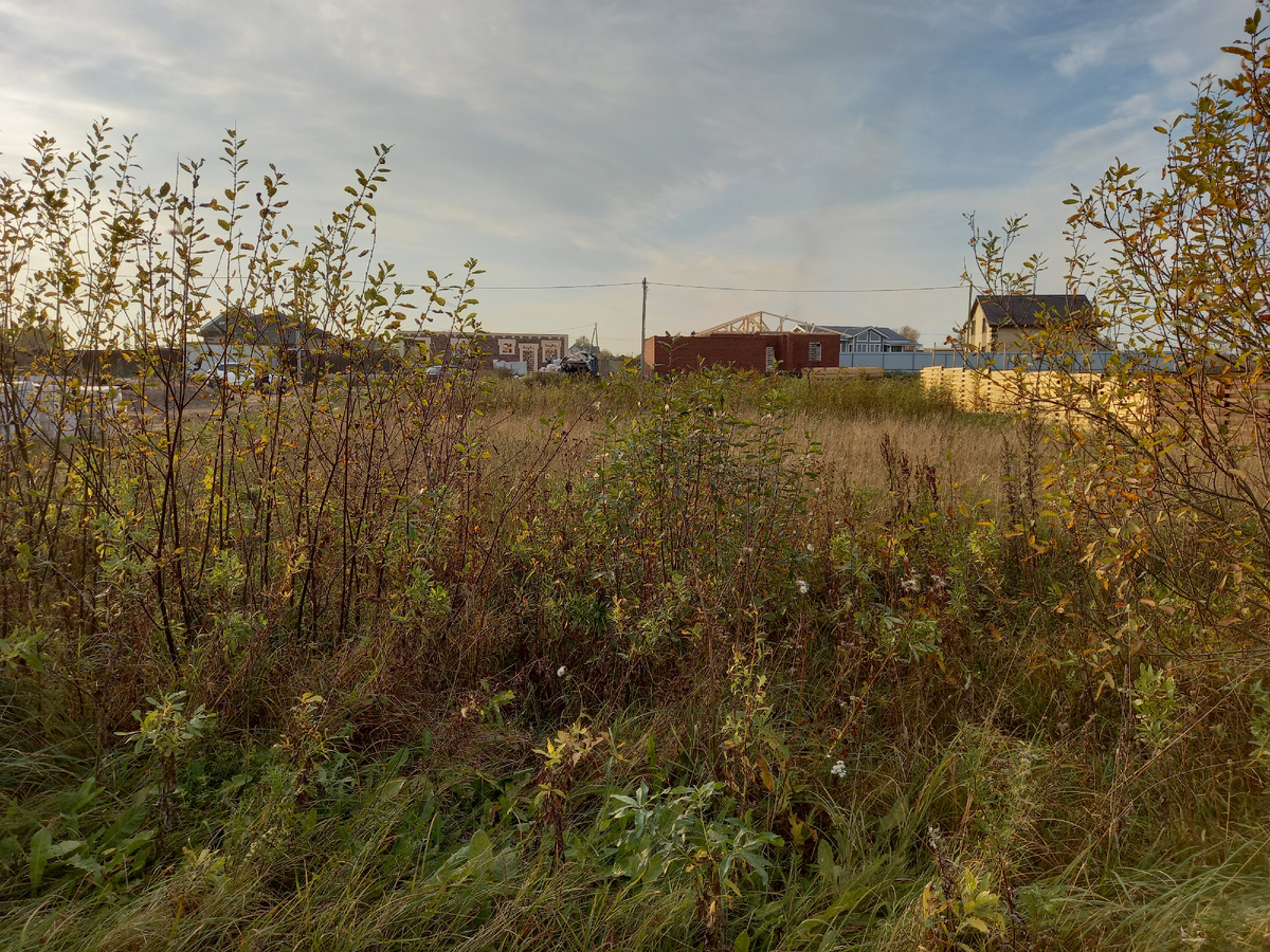 2022год, сентябрь или октябрь