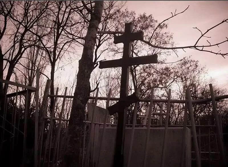 Изображение взято из открытых источников интернета. 