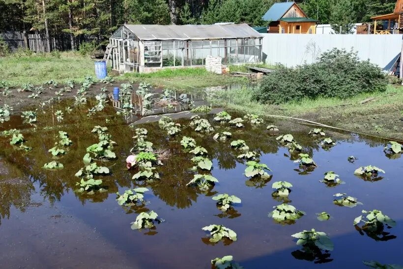     © РИА Новости. Евгений Епанчинцев