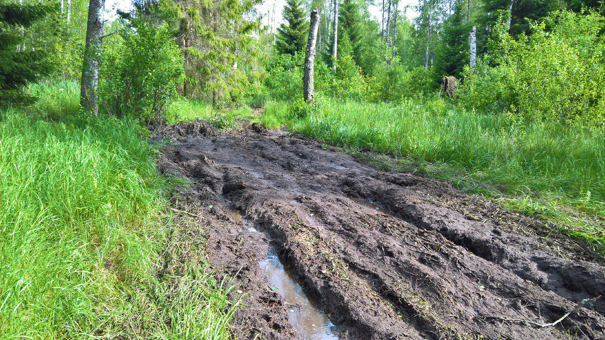 Это не дорога. Это направление.
