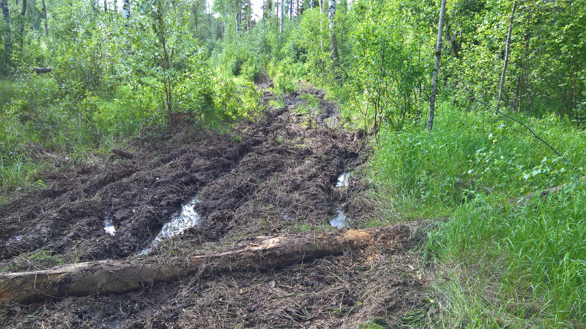 Без комментариев 