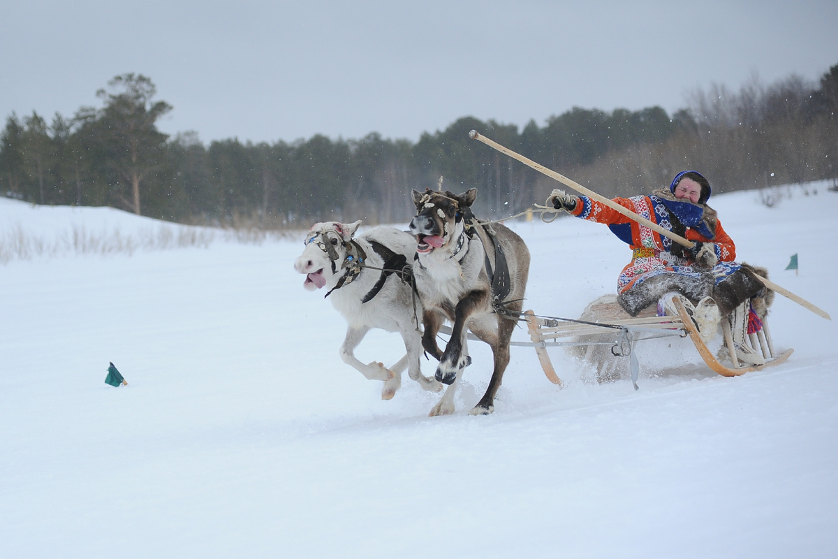 Ханты и манси даже не подозревали, что живут на родине узбеков. Фото: Dmitry Chasovitin\globallookpress.com