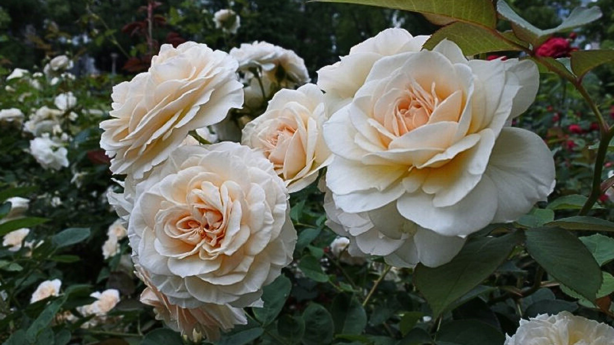 Источник; chukotkamedia.ru