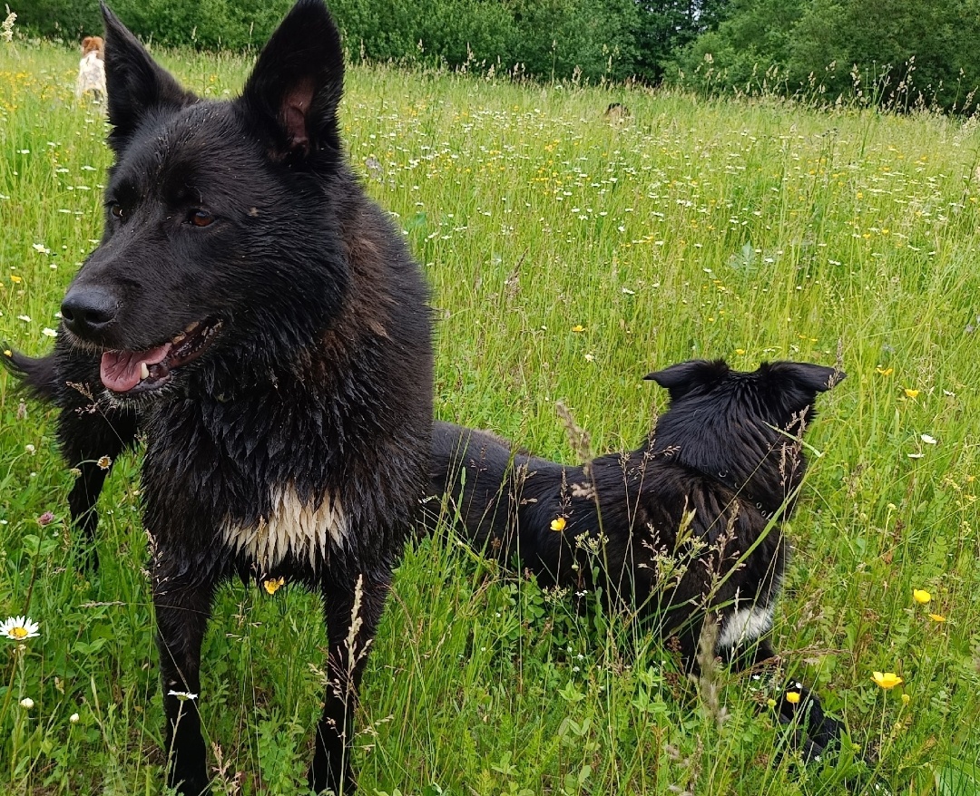 Мира и Сахара