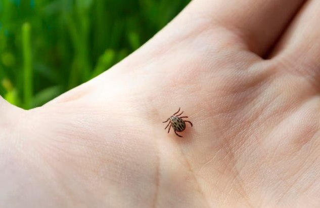     Фото: freepik.com