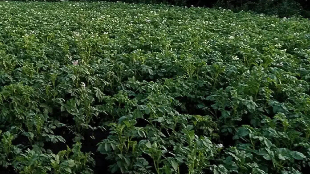 Источник: izvmor.ru