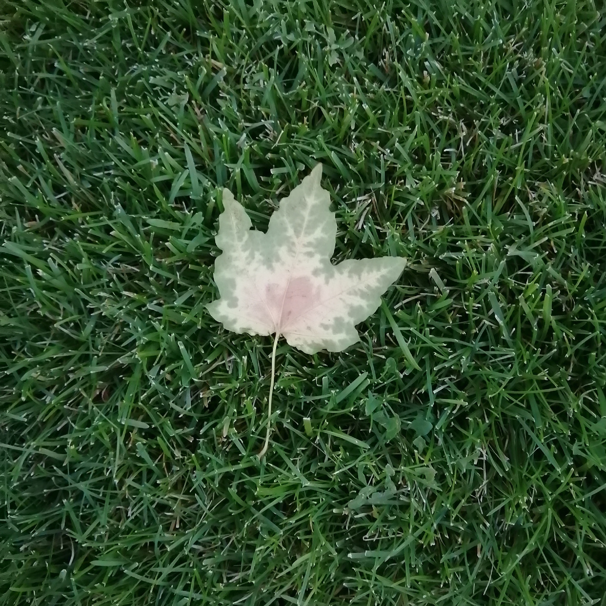 Это лето было насыщенным. Спроси! Я расскажу. 