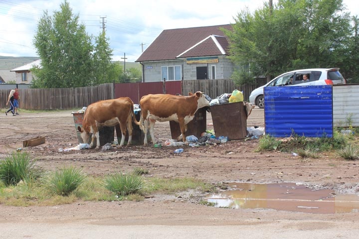 Фото из курортного поселка Жемчужный, 2022 год. 19rusinfo.ru
