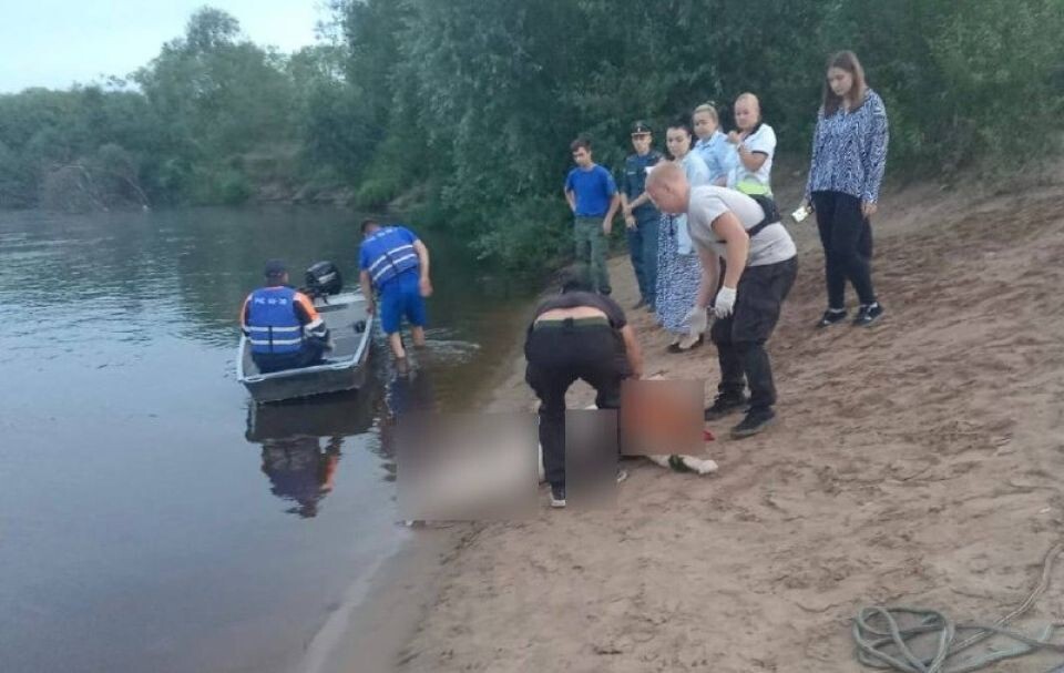    В реке Клязьма утонула семья из трех человек. Источник: Пресс-служба министерства региональной безопасности Владимирской области