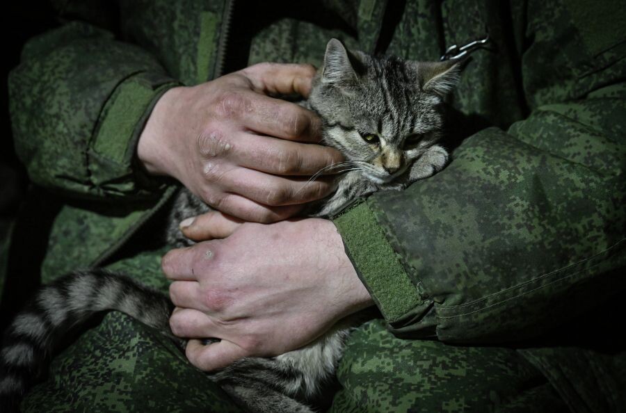     / Источник: © Станислав Красильников/РИА Новости