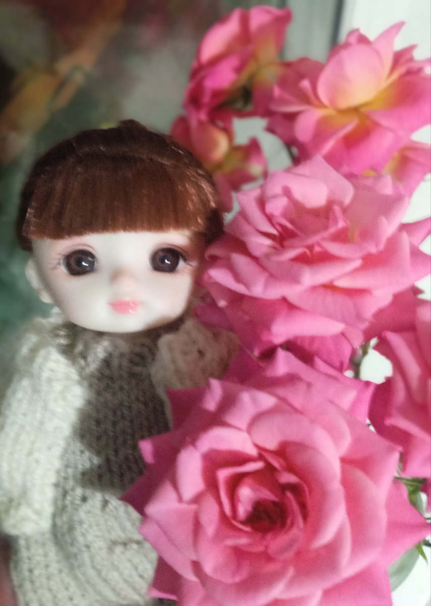 Роза и розы. Фото автора.