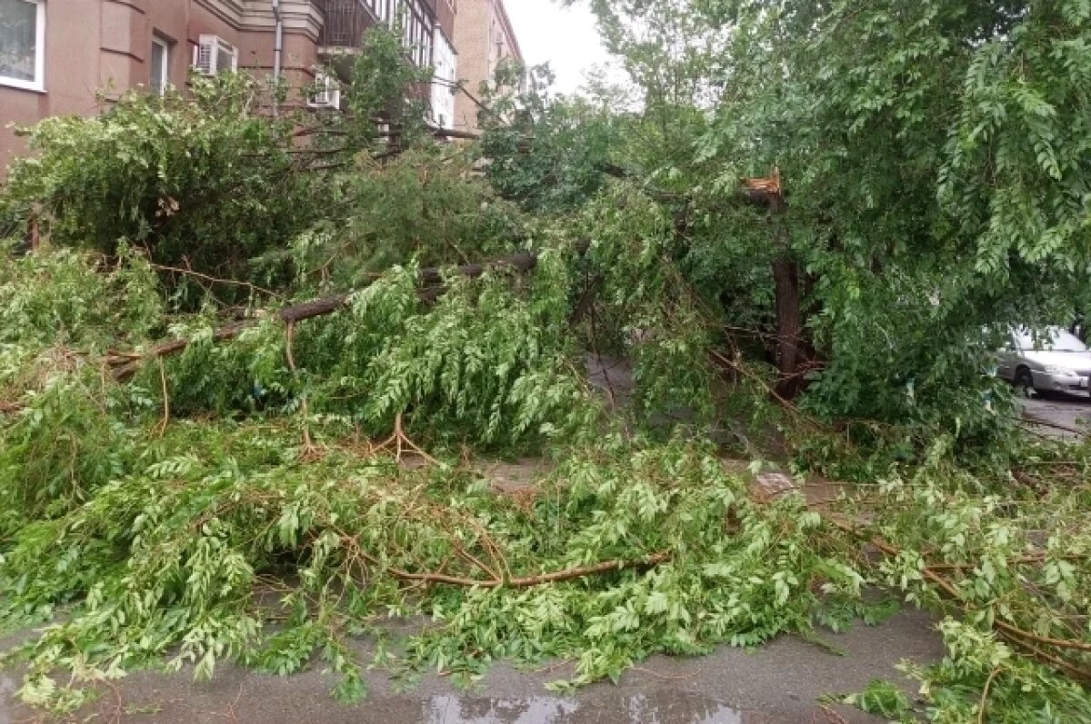    Село под Омском пострадало от урагана