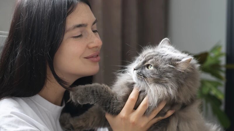     Домашний питомцы. freepik.com/freepik.