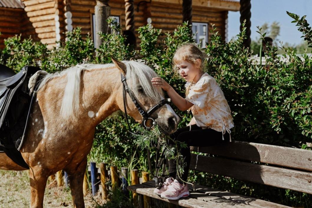| Фото: ТРООИ "Равные возможности"