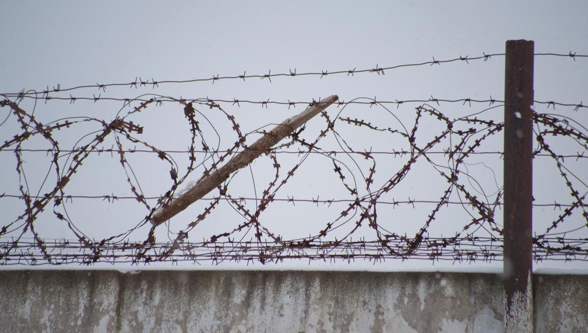    © Константин Долгановский