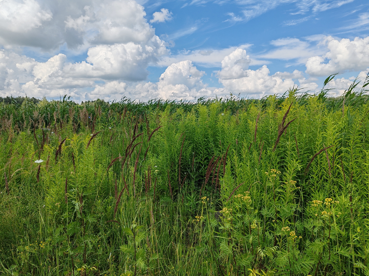 Фото автора канала. 