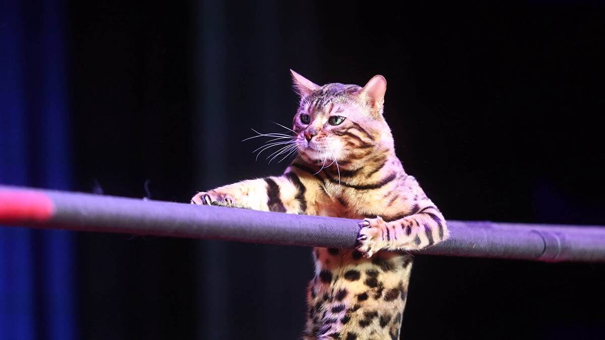    Фото: Ярослав Чингаев / АГН Москва