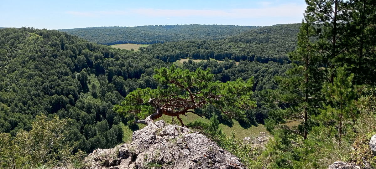Гумеровское ущелье в Башкирии похоже на настоящую Швейцарию