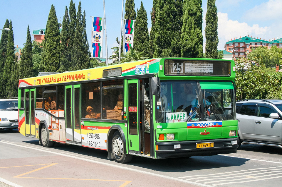 Art Konovalov, Shutterstock
