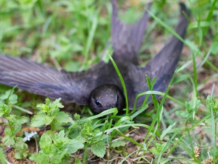     Фото: Олеся Игнатова