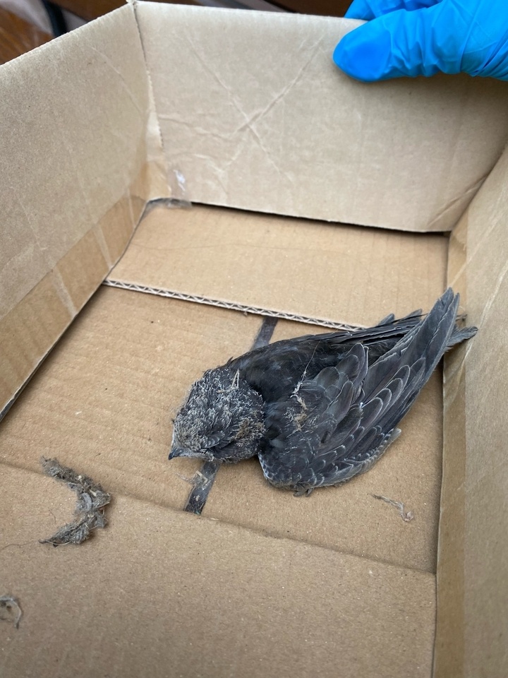     Фото: Олеся Игнатова