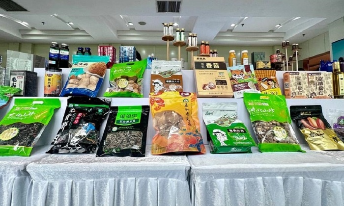    Продукция лесного хозяйства Хэйлунцзяна представлена в Екатеринбурге