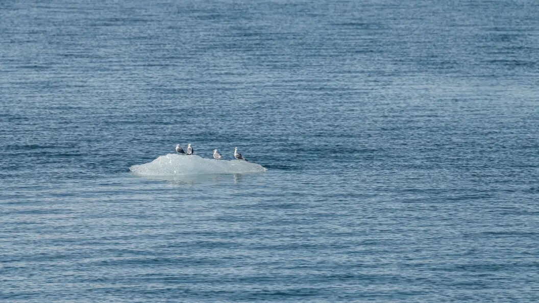    Фото: IMAGO/Zoonar.com/dvlcom www.dvlc/Globallookpress