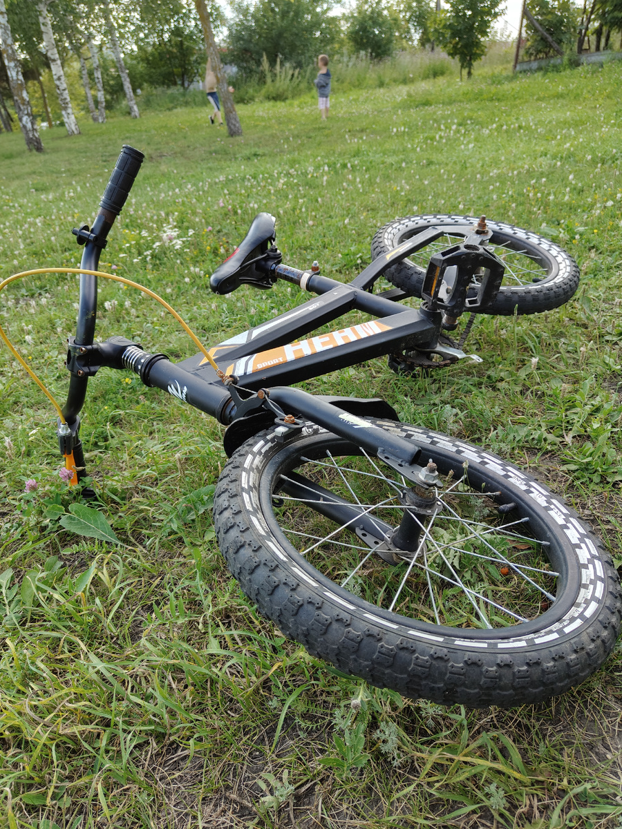 Пока папа на работе, мы ходим на прогулку